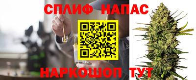 стаф Беслан