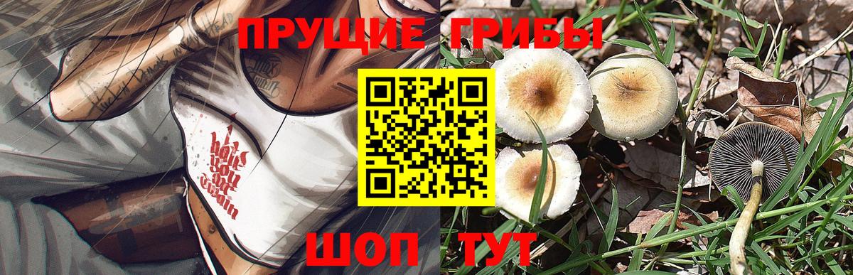 Галлюциногенные грибы Magic Shrooms  Вход с VPN  Галлюциногенные грибы мухоморы  цена наркотик  Знаменск 